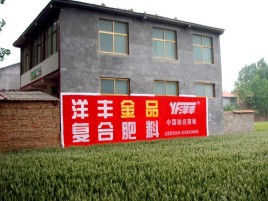 宁波如何让墙体广告展现最大化效果
