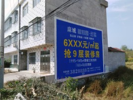 宁波墙体广告质量分析
